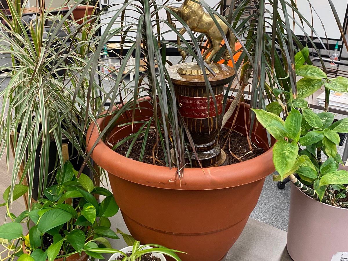 Snuggling the plants.